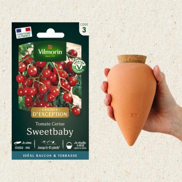 Kit de jardinage - Kit semis Tomate Sweetbaby + Olla Terracotta - face recto